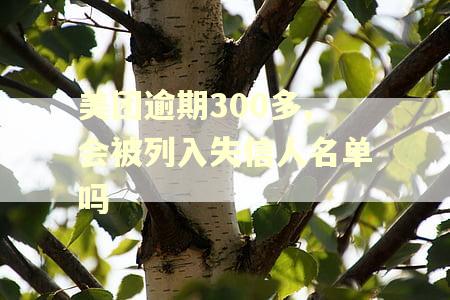美团逾期300多,会被列入失信人名单吗