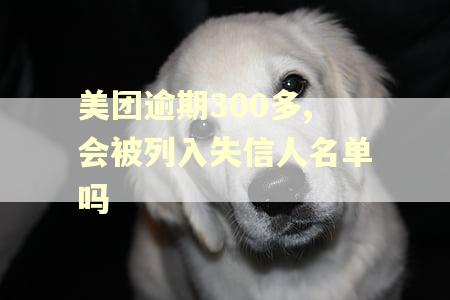 美团逾期300多,会被列入失信人名单吗