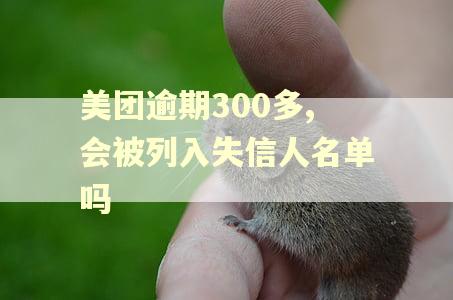 美团逾期300多,会被列入失信人名单吗