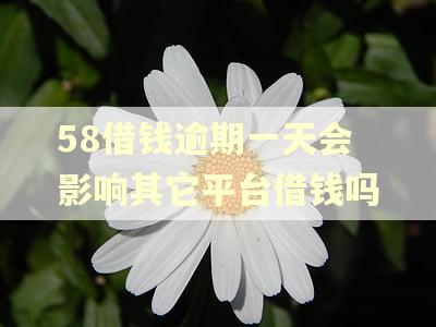 58借钱逾期一天会影响其它平台借钱吗
