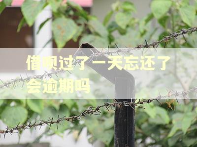 借呗过了一天忘还了会逾期吗 借呗过了一天忘还了会逾期吗