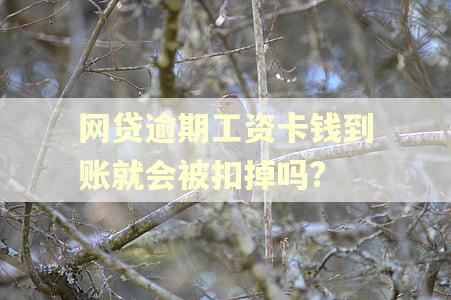 网贷逾期工资卡钱到账就会被扣掉吗?
