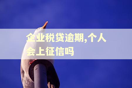 企业税贷逾期,个人会上征信吗