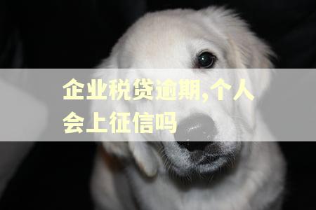 企业税贷逾期,个人会上征信吗