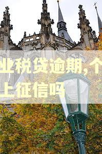企业税贷逾期,个人会上征信吗