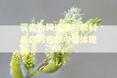 买卖合同逾期付款利息在对账单中要体现吗