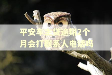 平安车主贷逾期2个月会打联系人电话吗