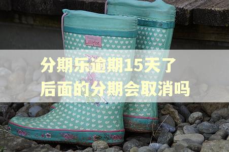 分期乐逾期15天了后面的分期会取消吗
