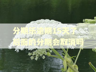 分期乐逾期15天了后面的分期会取消吗
