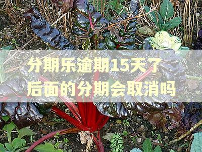 分期乐逾期15天了后面的分期会取消吗 分期乐逾期15天了后面的分期会取消吗