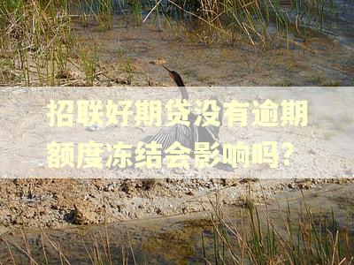 招联好期贷没有逾期额度冻结会影响吗?