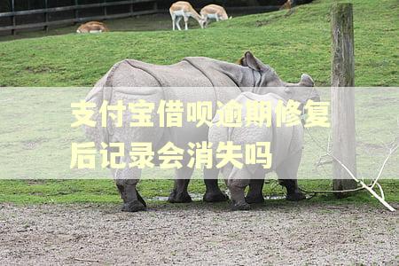 支付宝借呗逾期修复后记录会消失吗
