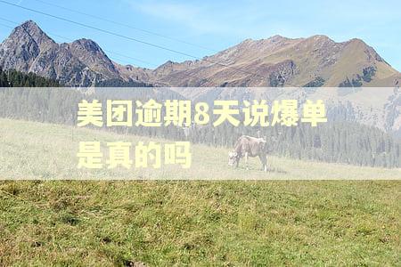 美团逾期8天说爆单是真的吗