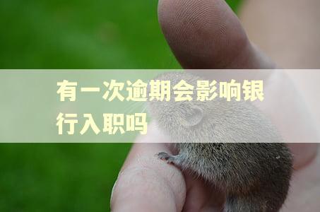 有一次逾期会影响银行入职吗