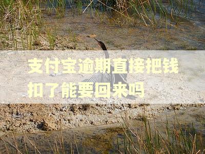 支付宝逾期直接把钱扣了能要回来吗