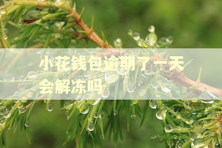 小花钱包逾期了一天会解冻吗 小花钱包逾期了一天会解冻吗