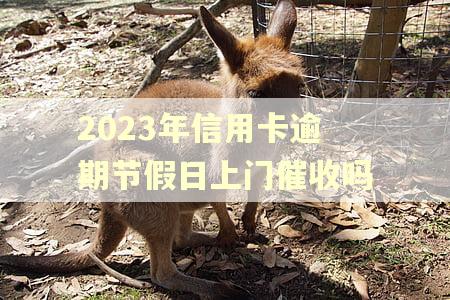2023年信用卡逾期节假日上门催收吗