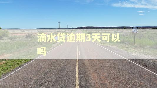 滴水贷逾期3天可以吗