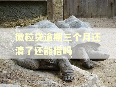 微粒贷逾期三个月还清了还能借吗