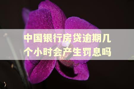 中国银行房贷逾期几个小时会产生罚息吗
