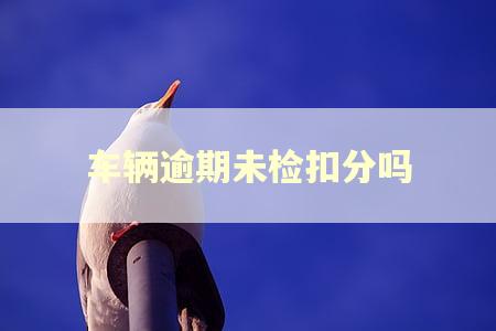 车辆逾期未检扣分吗