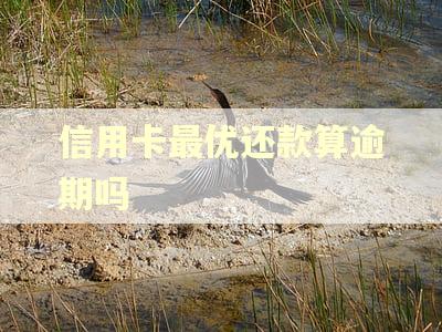 信用卡最优还款算逾期吗
