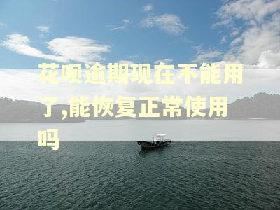 花呗逾期现在不能用了,能恢复正常使用吗