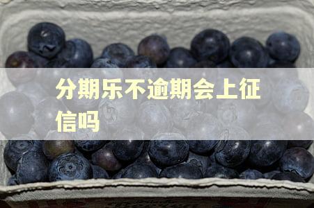 分期乐不逾期会上征信吗