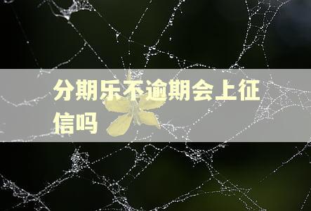分期乐不逾期会上征信吗