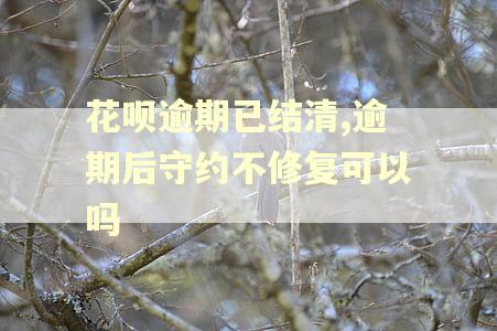 花呗逾期已结清,逾期后守约不修复可以吗