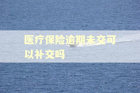 医疗保险逾期未交可以补交吗