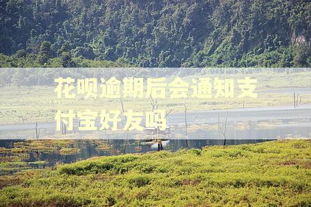 花呗逾期后会通知支付宝好友吗