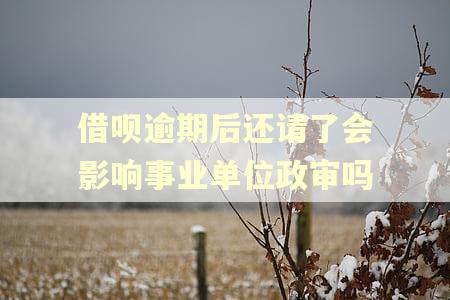借呗逾期后还请了会影响事业单位政审吗