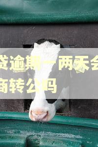 房贷逾期一两天会影响商转公吗