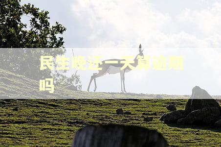 民生晚还一天算逾期吗