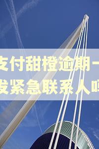 翼支付甜橙逾期一天会发紧急联系人吗