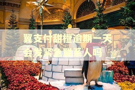 翼支付甜橙逾期一天会发紧急联系人吗