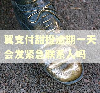 翼支付甜橙逾期一天会发紧急联系人吗 翼支付甜橙逾期一天会发紧急联系人吗