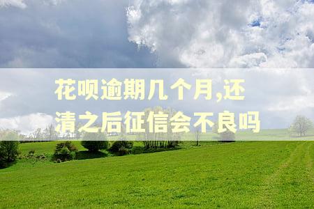 花呗逾期几个月,还清之后征信会不良吗 花呗逾期几个月,还清之后征信会不良吗