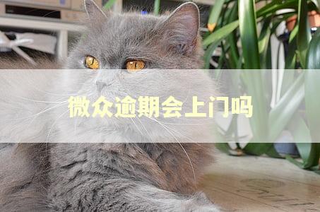 微众逾期会上门吗