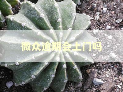 微众逾期会上门吗