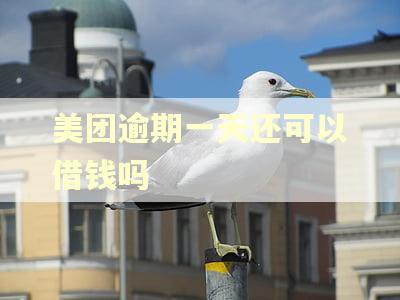美团逾期一天还可以借钱吗