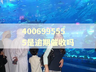 4006995555是逾期催收吗