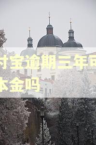 支付宝逾期三年可以还本金吗