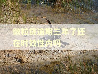 微粒贷逾期三年了还在时效性内吗