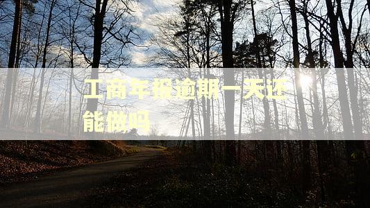 工商年报逾期一天还能做吗