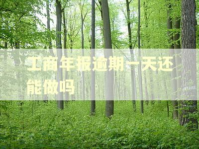 工商年报逾期一天还能做吗