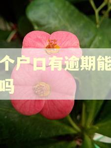 一个户口有逾期能注销吗