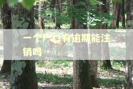 一个户口有逾期能注销吗