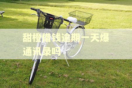 甜橙借钱逾期一天爆通讯录吗